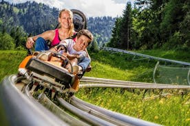 Neuschwanstein inkludert billetter og Alpine Coaster Private fra München