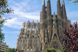 Sagrada Familia: Hraðbrautarleiðsögn með valfrjálsum turni