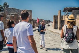 Dagtocht naar de ruïnes van Pompeii en de Vesuvius vanuit Napels
