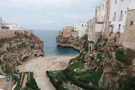 Einkaflutningur frá San Giovanni Rotondo til Bari (BRI) flugvallar