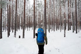 Caminhada no País das Maravilhas de Inverno em um Parque Nacional
