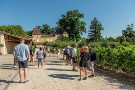 Excursão de meio dia pelas vinhas de Bordeaux com degustação de vinho