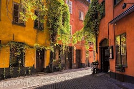 Classic Stockholm Small Group Walking Tour 