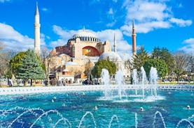 Istanbul Old City Top Sights Private Walking Tour, Tickets