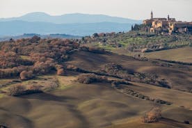 Visite guidée privée de Pienza à pied