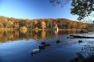 Newmillerdam Country Park