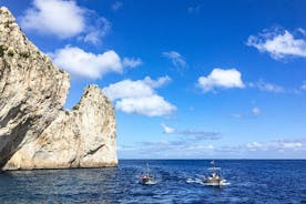 Cinque Terre Privat halvdagstur med officiel rejseguide