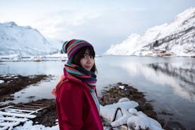 Sightseeingtour met kleine groep naar arctische landschappen vanuit Tromsø in de winter