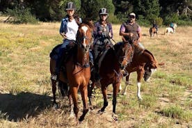 Pic-nic a cavallo a Roma