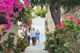 Medelhavsdietupplevelse i Naxos