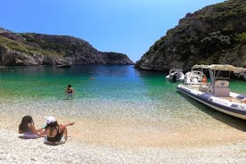 Heldags privatbåt Grama Bay, Dafina Bay og Ionian Sea Caves