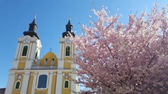 Székesfehérvár - city in Hungary