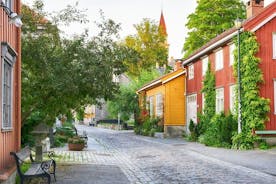 3 Hour Private Guided Walking Tour in Trondheim