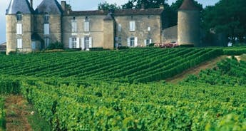 Medoc Vineyard Cycle