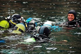 Lisbon Eco-Try Dive - Diving Baptism