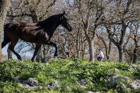 Martina Franca e-Bike Tour . Vieraile jalostus- ja maitotilalla