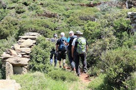 Excursão de caminhada guiada para grupos pequenos em Andros com piquenique na praia