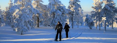 핀란드 소단퀼레 최고의 휴가 패키지
