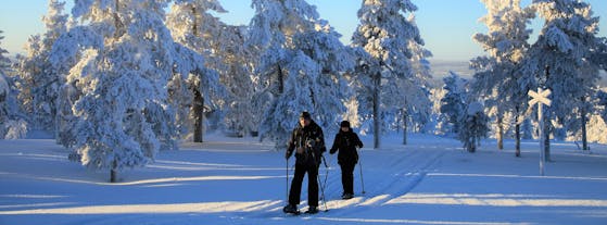 Sodankylä