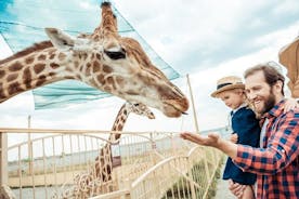 환승이 가능한 뮌헨의 헬라브룬 동물원 건너뛰기