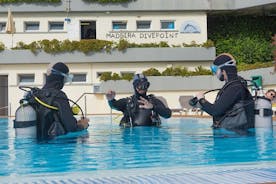 Scuba Diving Experience for Beginners