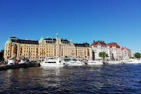 Scandinavian Art, Architecture and Design Tour i Stockholm