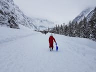 雪橇之旅 在 挪威