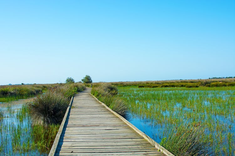 Photo of Kus cenneti in the Kizilirmak delta Samsun.