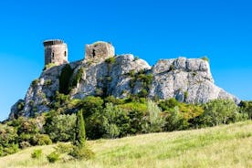 Heldags privat Chateauneuf du Pape vintur fra Avignon