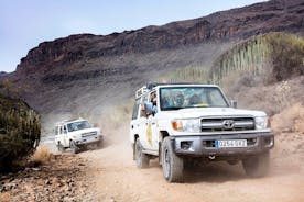 Excursão 4x4 a Fuerteventura e viagem de catamarã à Ilha de Lobos com almoço