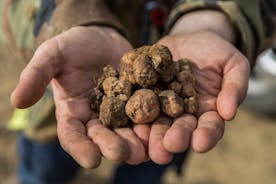 Cours de chasse et de cuisine aux truffes