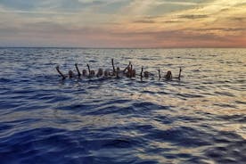 2 timers Cinque Terre Sunset Cruise med svømmestop