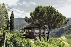 Wijntour en proeverij in Bolzano in het SKYWINE PAVILION