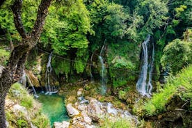 Descubra nossos campos e excursão compartilhada de dia inteiro saindo de Nice