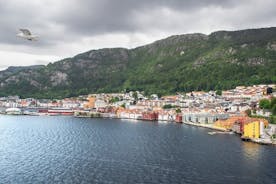 Einkaflutningur frá Ósló til Bergen með 2 tíma stoppi