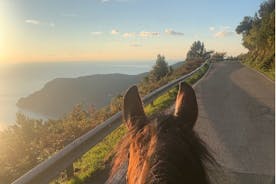 Passeio a cavalo na costa de Monterosso al Mare Cinque Terre