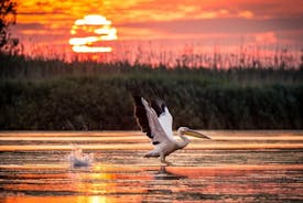 Gita di un giorno al delta del Danubio da Tulcea