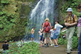 Excursão de Caminhada Privada ao Parque Nacional Mtirala saindo de Batumi