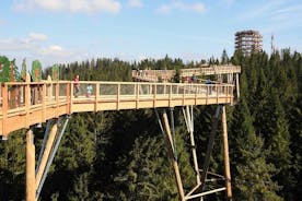 From Kraków: Slovakia Treetop Walk and Bachledka Ski