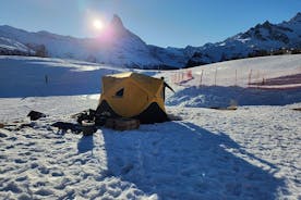 Camina y sumérgete en la naturaleza alpina suiza del Matterhorn sobre Zermatt