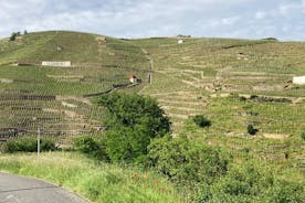 Visita guidata dei Coteaux Côte Rôtie per coppie genitori e figli