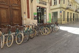 バレンシアでの終日自転車レンタル