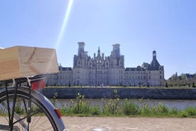 Excursão de bicicleta pelo Vale do Loire a Chambord FROM TOURS