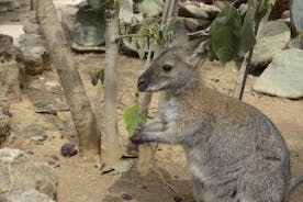 Ingresso para o Zoológico de Lagos