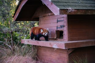 Edinburgh Zoo