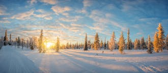 Bedste pakkerejser i Saariselkä, Finland