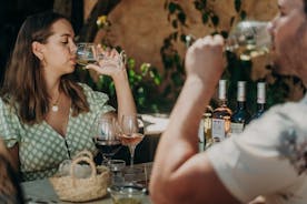 Tour & Wine tasting - Authentic Algarve Flavours by Quinta da Tôr