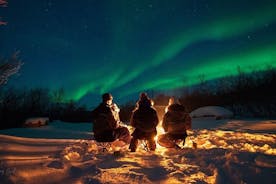 Aurora-jagttur kun for voksne med Citizen Science i Tromsø