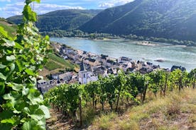 Grape Escape Rhine Valley - excursões de vinho pessoais de Frankfurt e Mainz