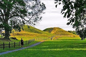 Day-Trip- to-Uppsala 